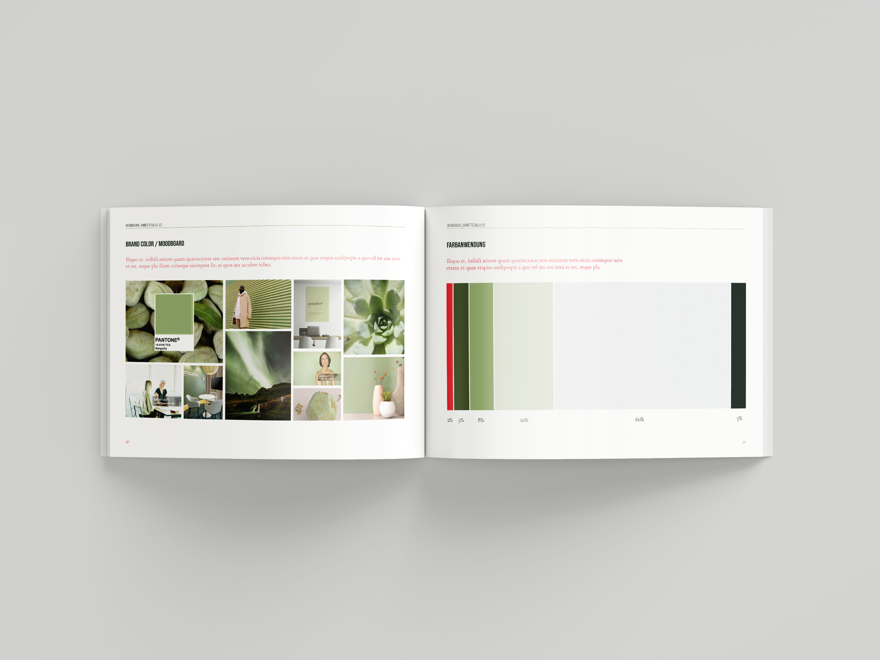 Annette Salla Brand Book